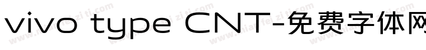 vivo type CNT字体转换